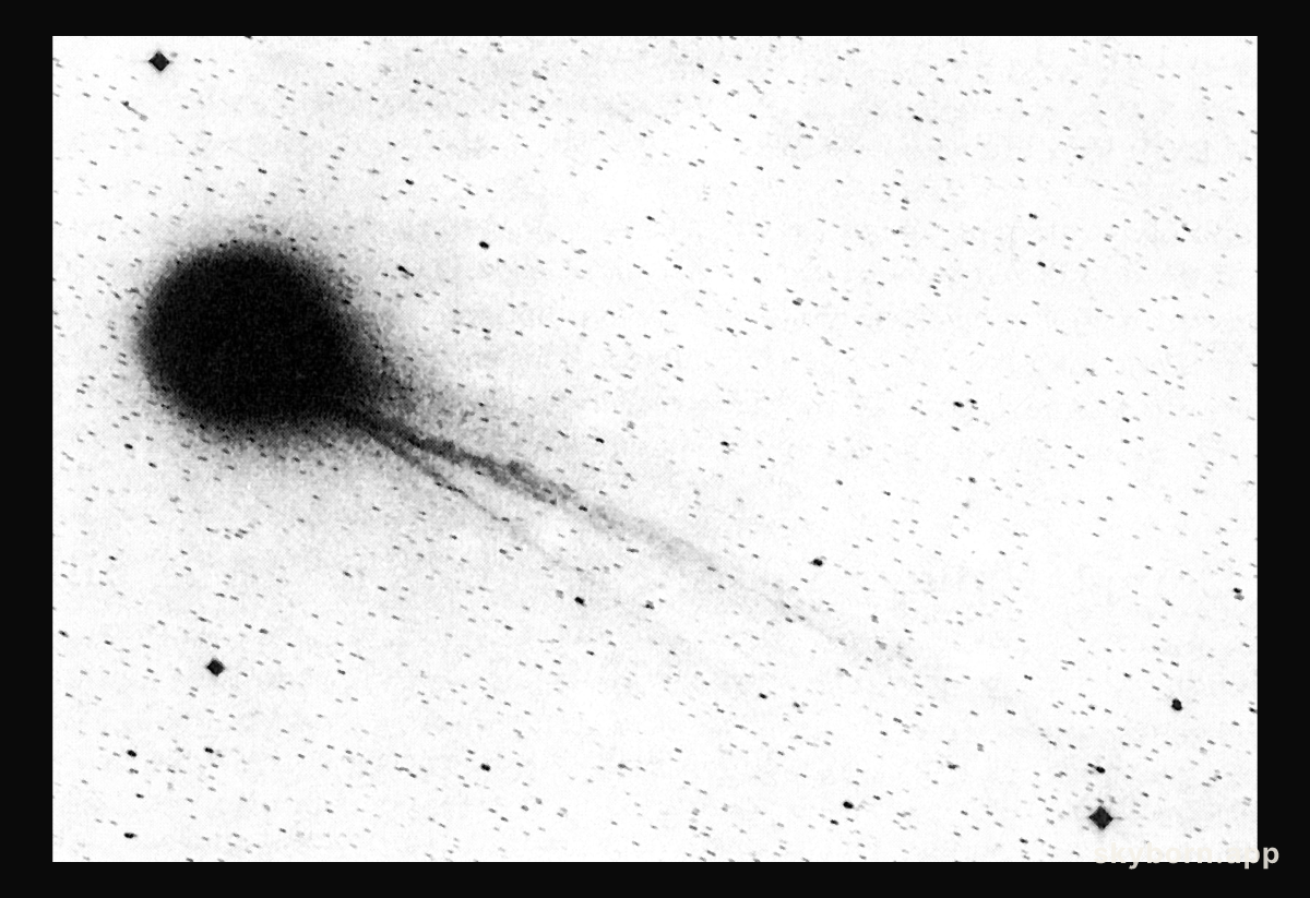 Comet Halley's ion tails