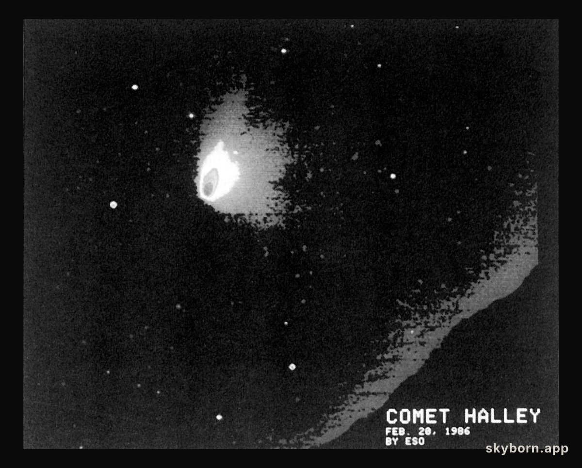 Halley's multiple dust tail