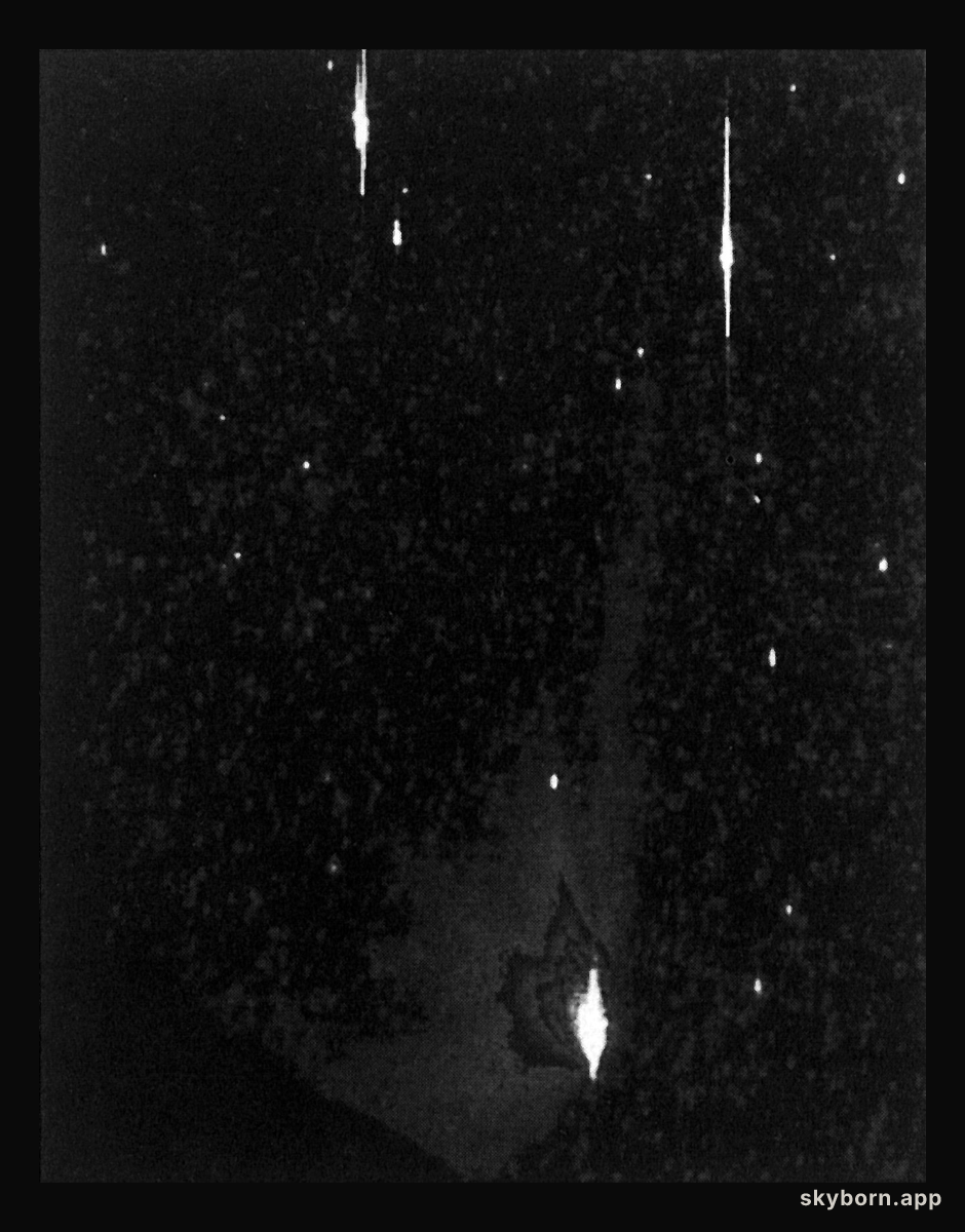 Comet Halley's multiple tails
