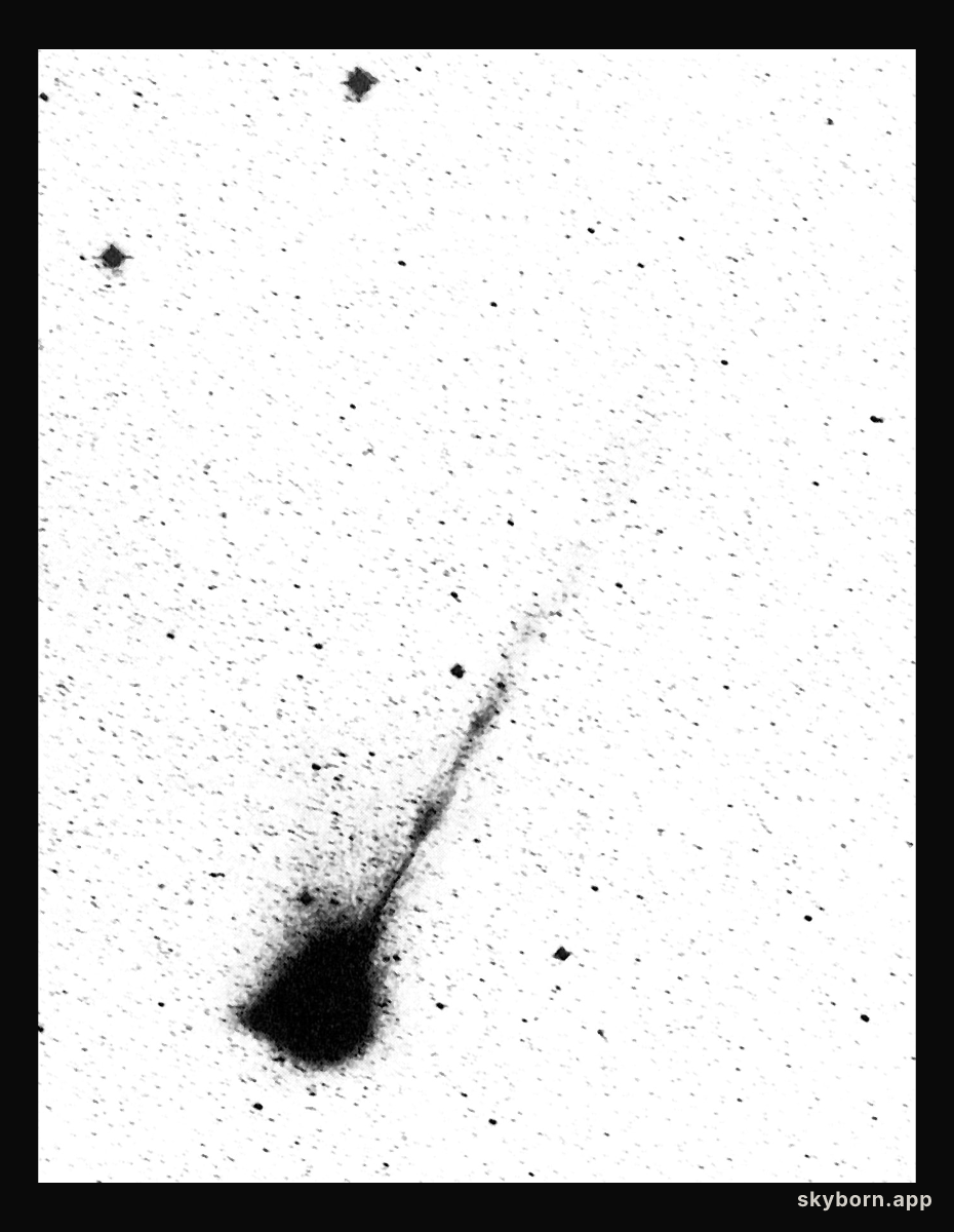 The long ion tail of comet Wilson