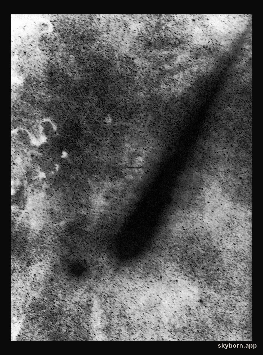 An unusual view of comet Austin