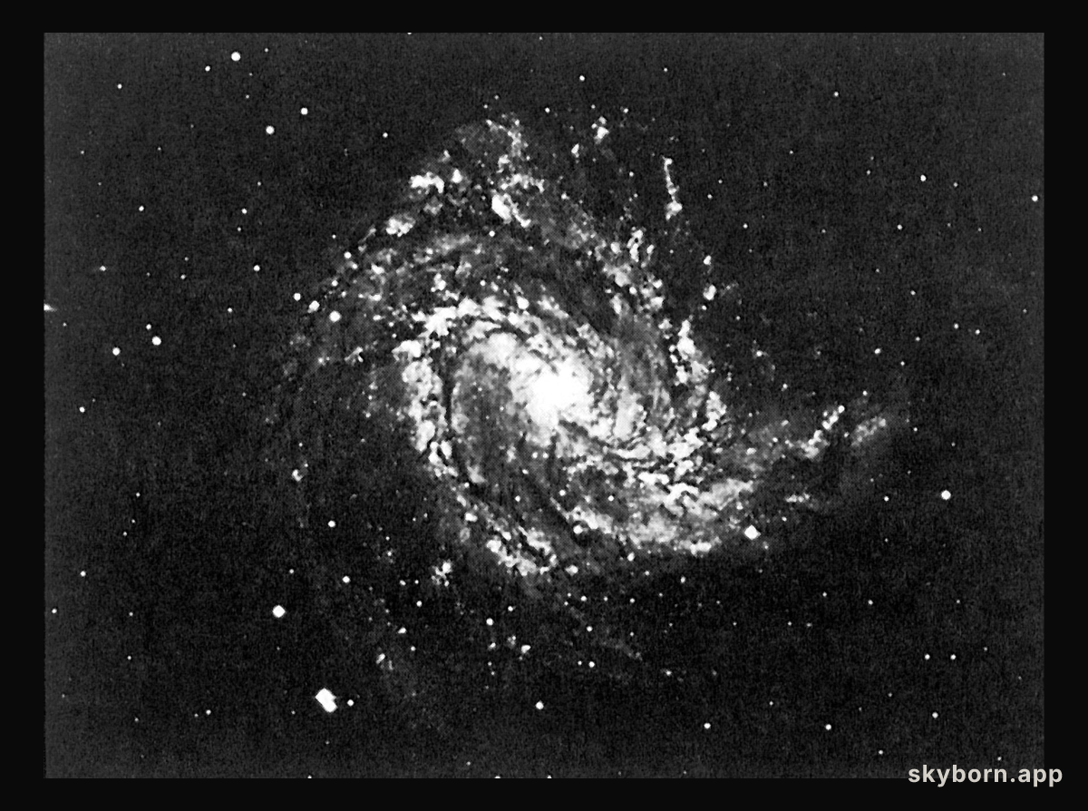 Southern spiral galaxy NGC 5236