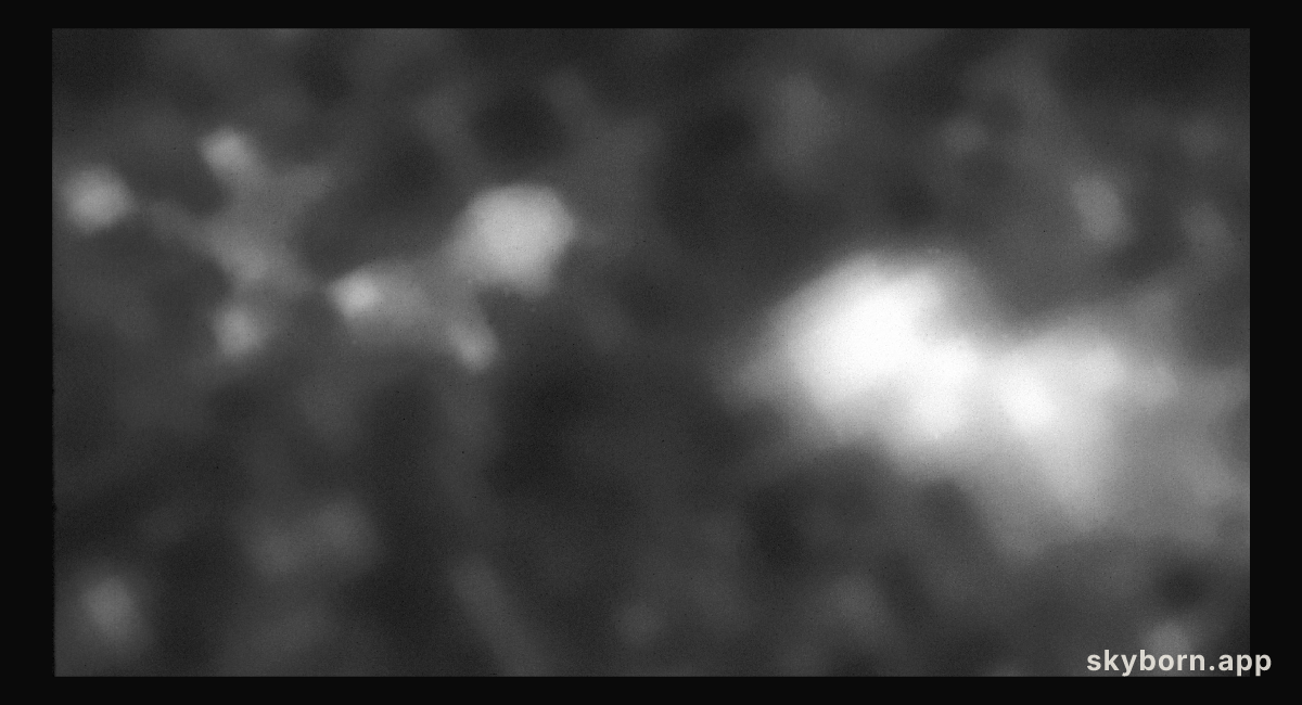 Radio galaxy 4C41.17