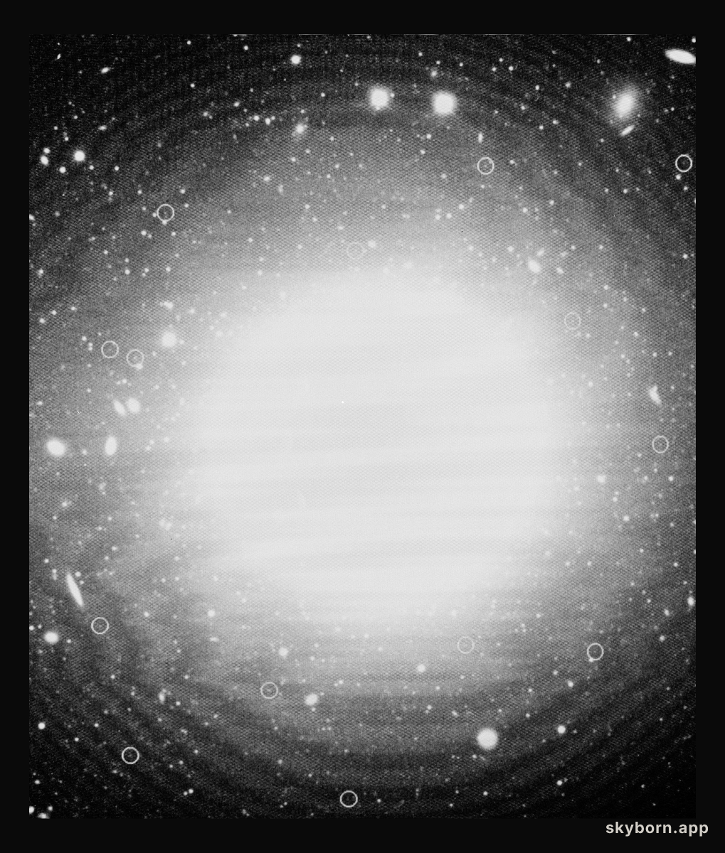Planetary nebulae in NGC 1399