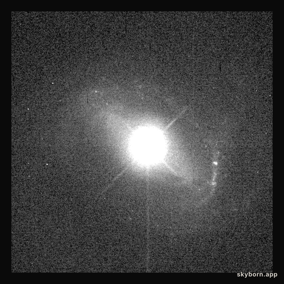Quasar host galaxy