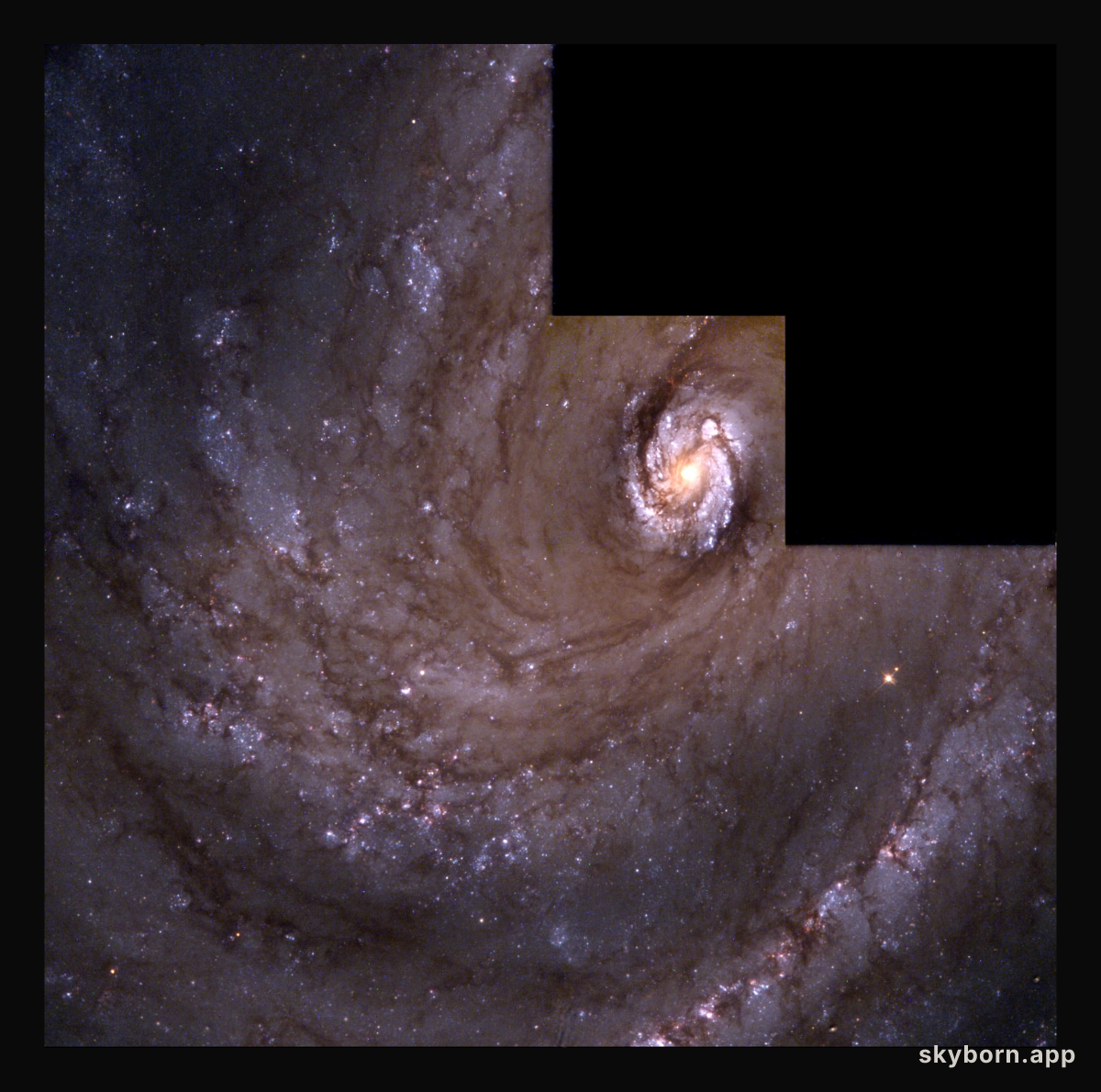 The Spiral Galaxy M 100