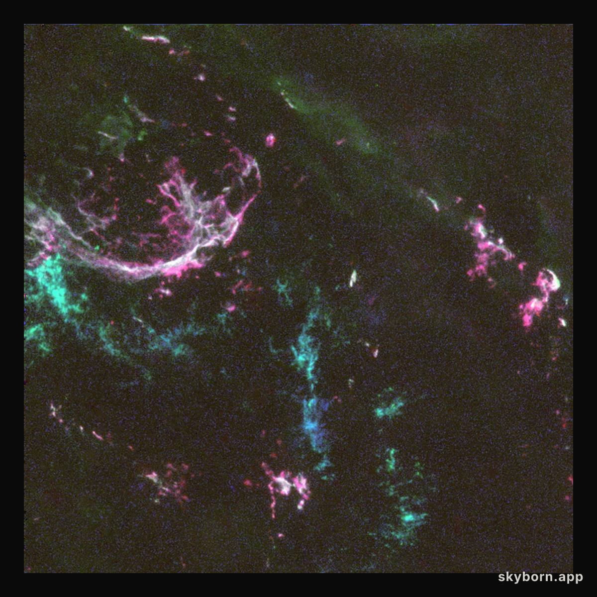 Oxygen-Rich Supernova