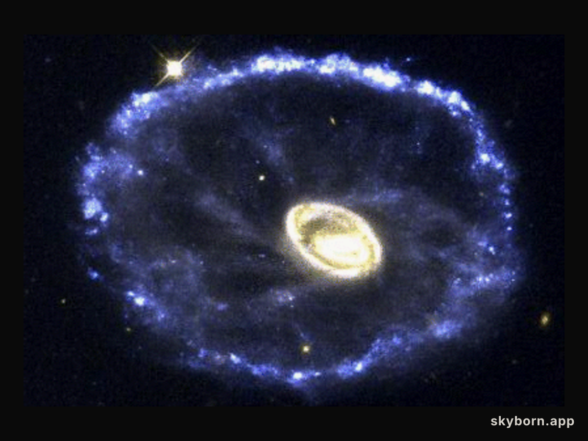 The Cartwheel Galaxy
