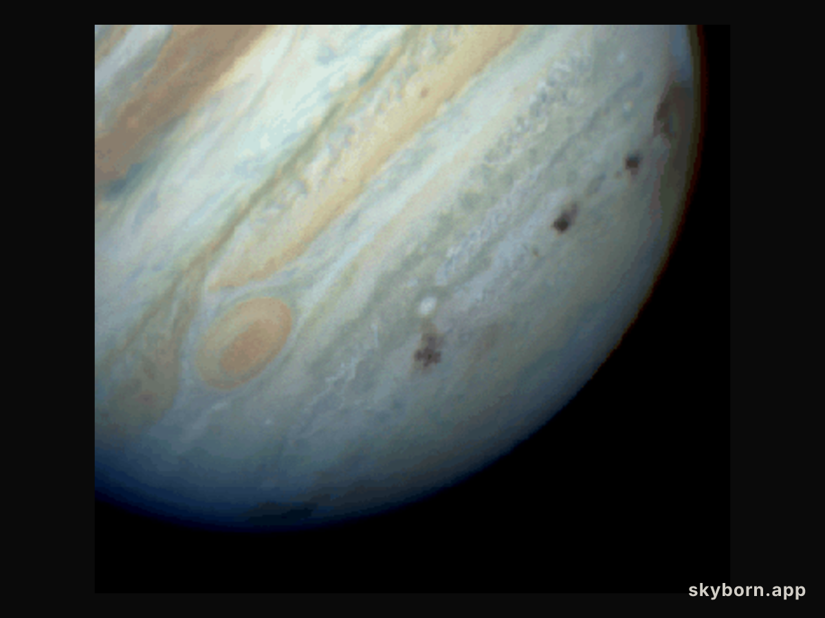 Comet Impacts on Jupiter