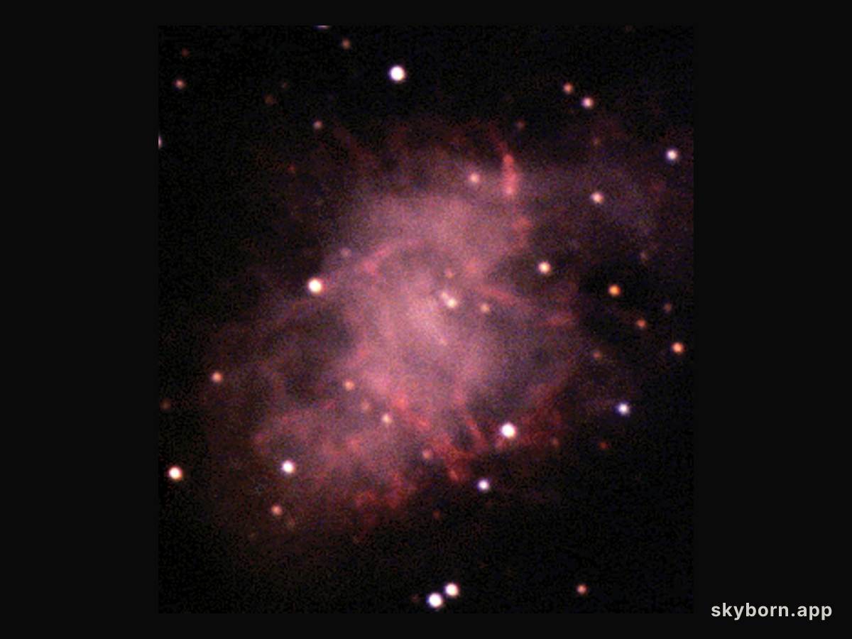 M1: The Crab Nebula