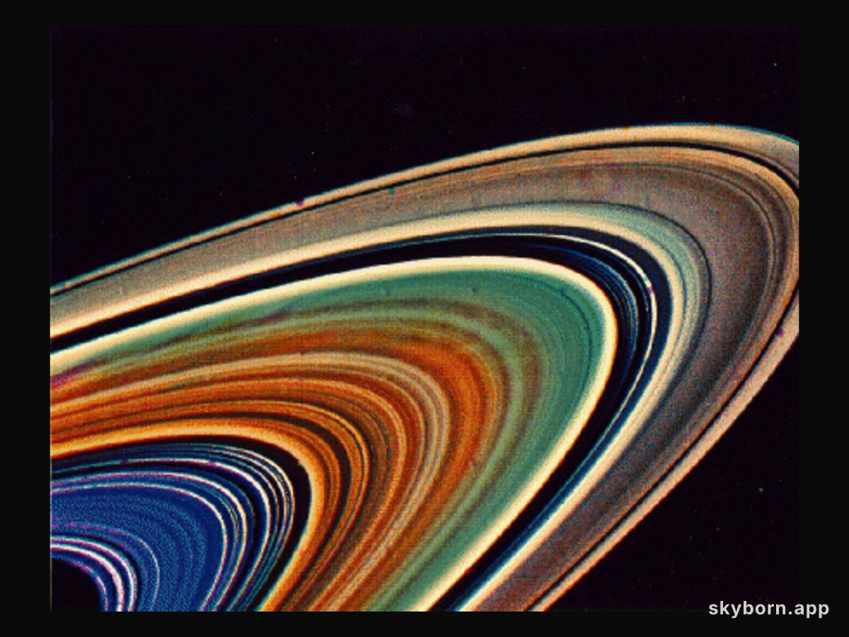 The Rings of Saturn