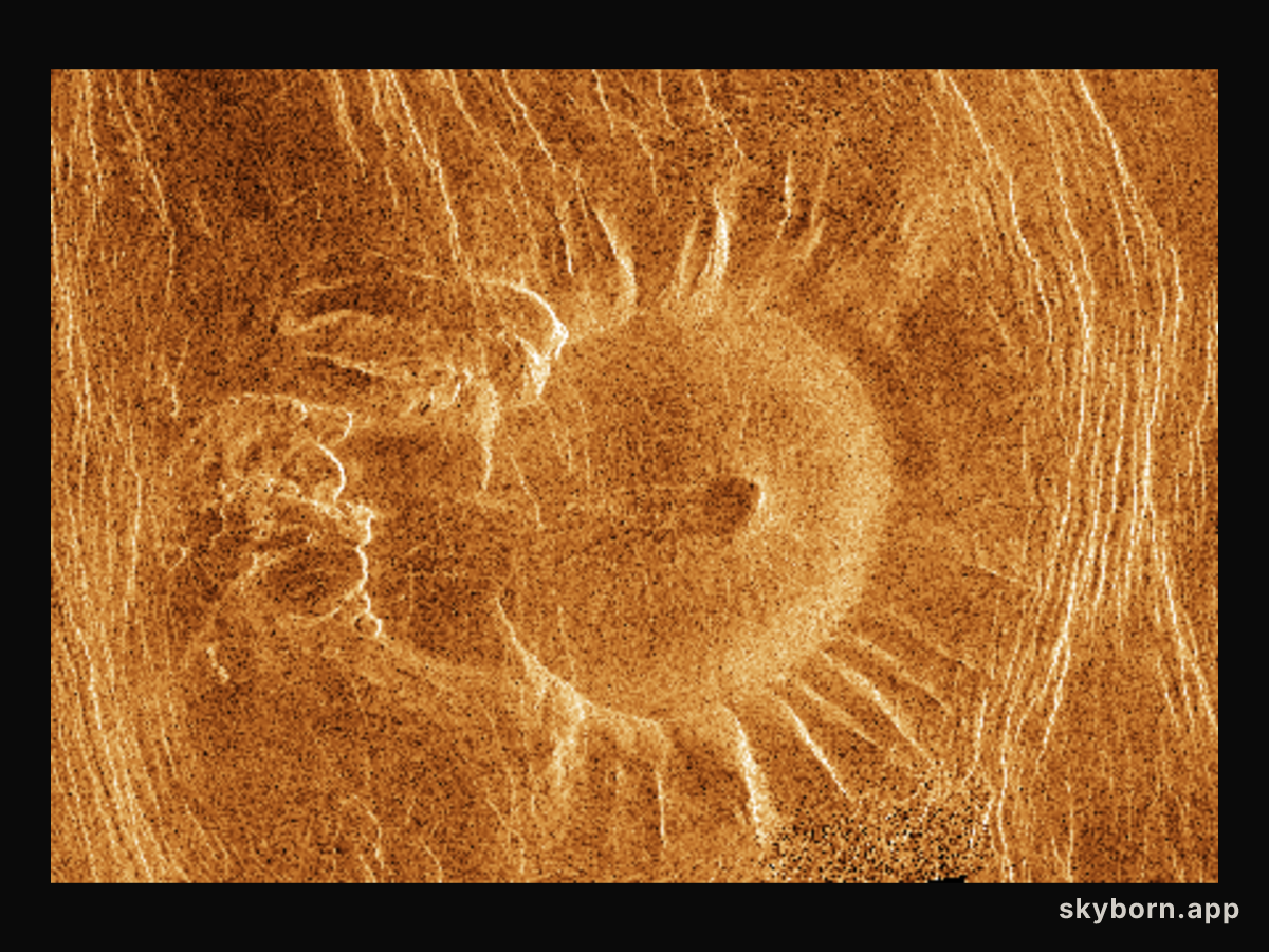A Venusian Tick