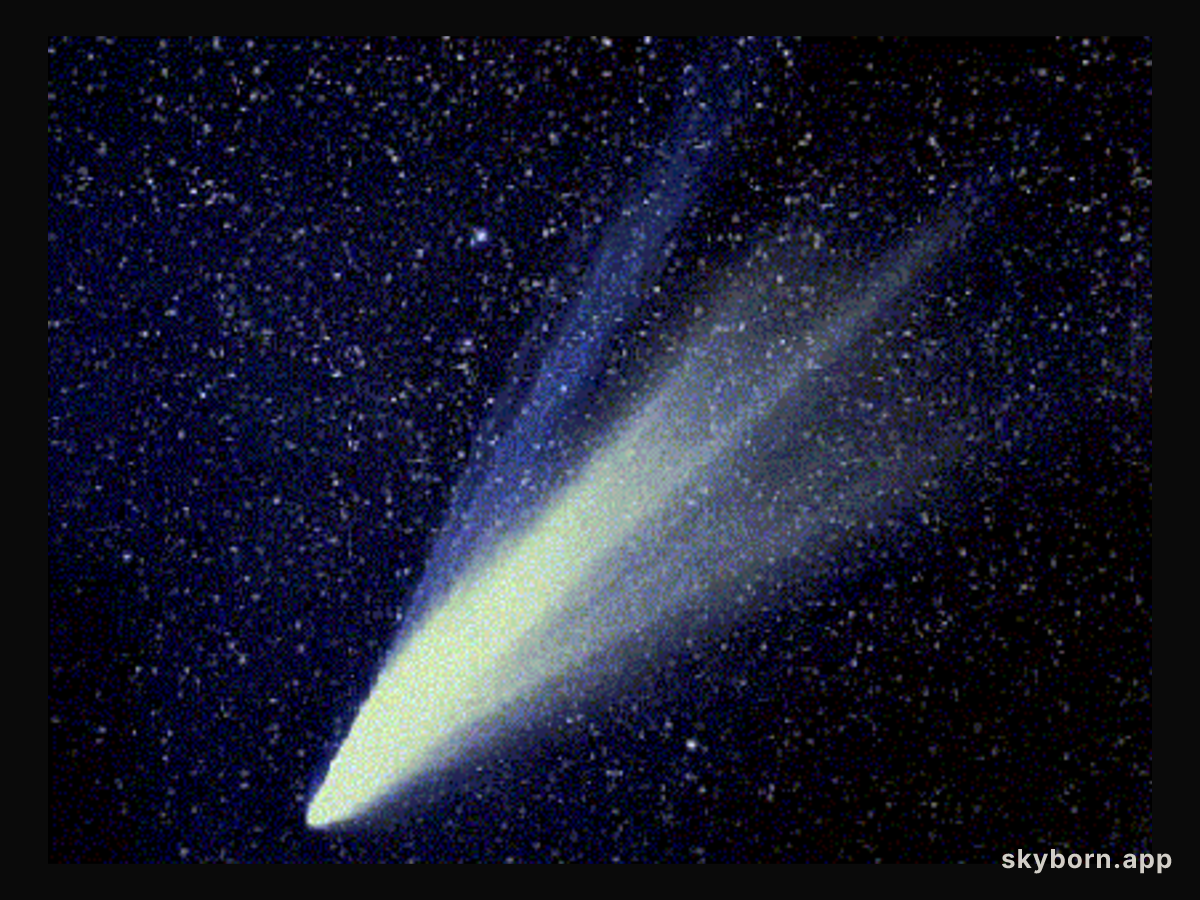 Two Tails of Comet West