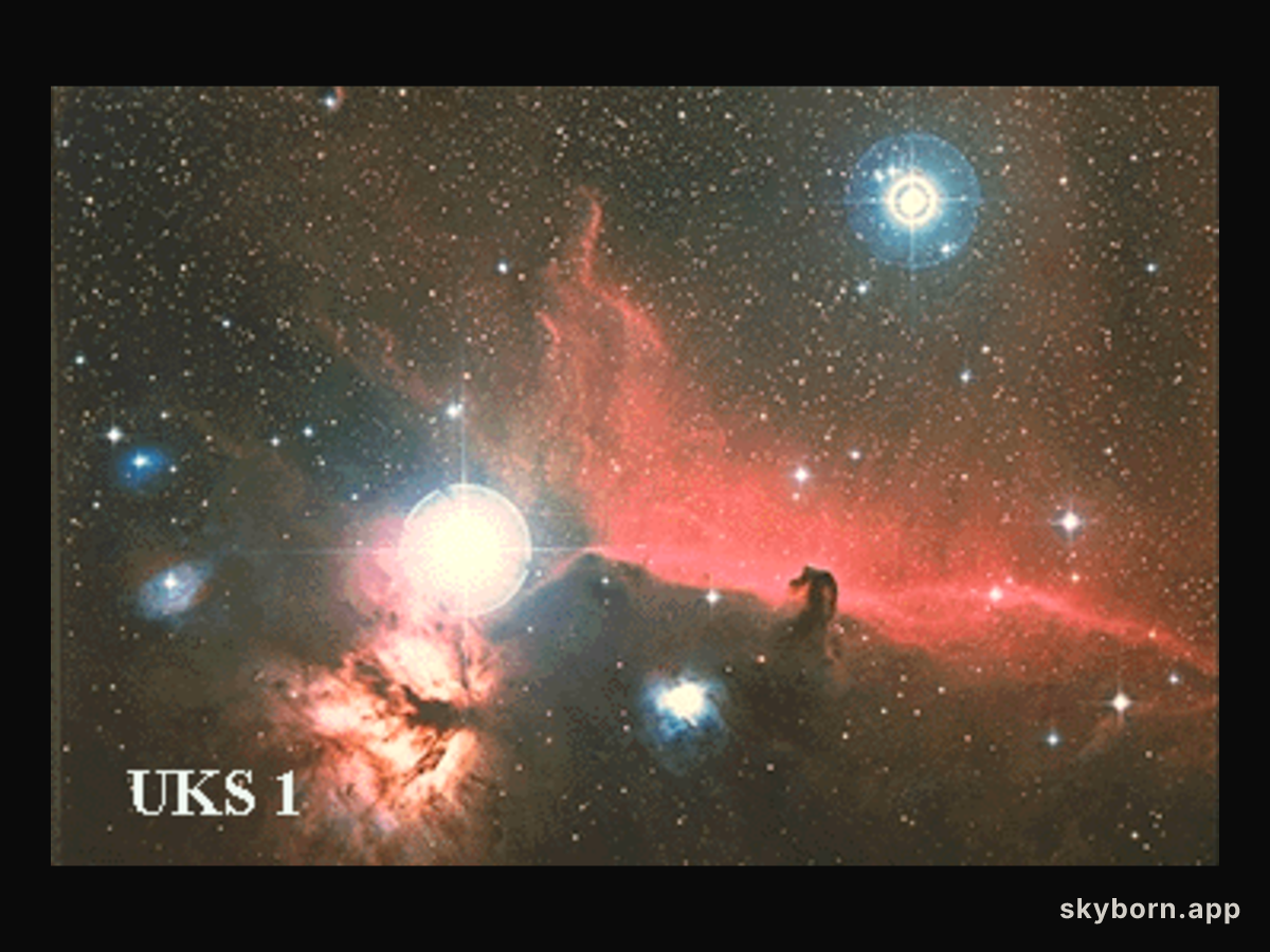 Orion's Horsehead Nebula