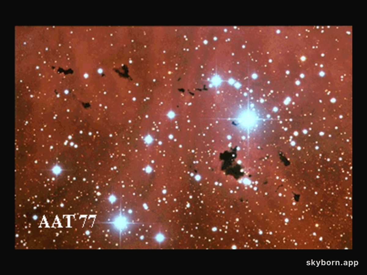Dark Bok Globules in IC 2944