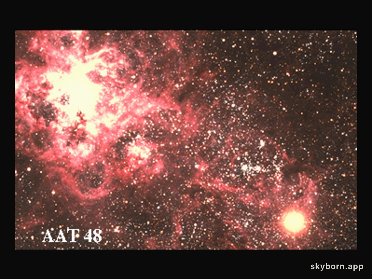 The Tarantula and the Supernova