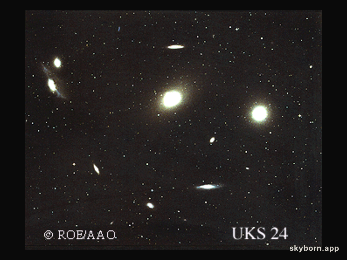 Virgo Cluster Galaxies