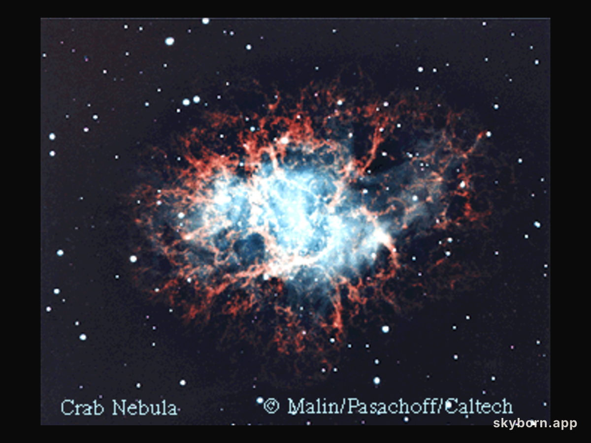 M1: The Exploding Crab Nebula