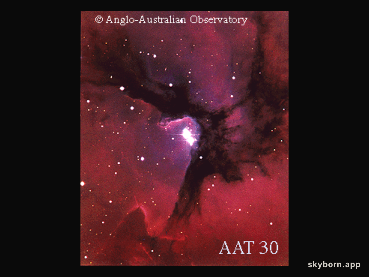 Hot Stars in the Trifid Nebula