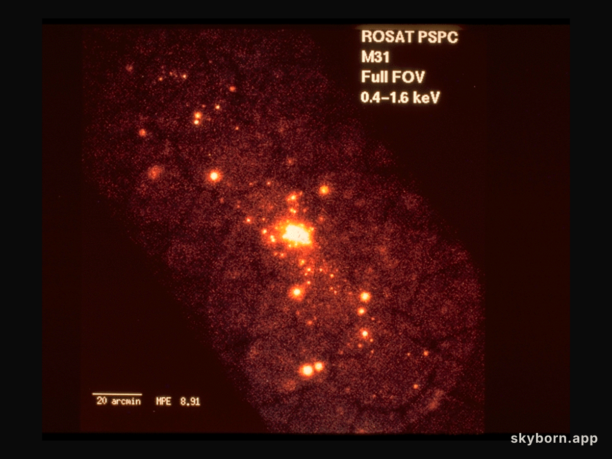 The X-ray Sources of M31