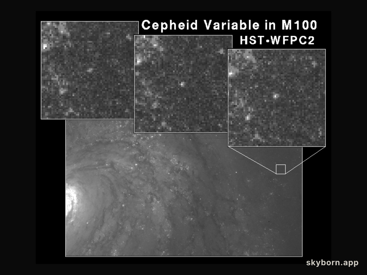 The Cepheids of M100