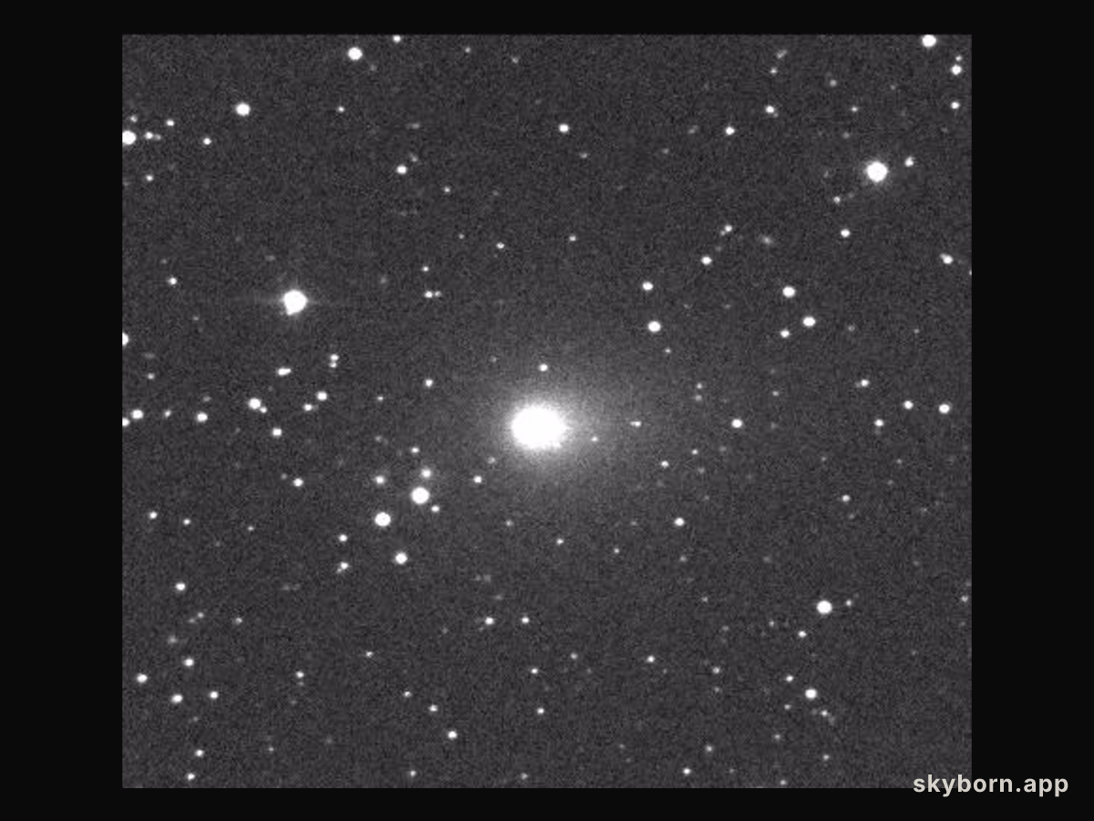 Hyakutake: The Great Comet of 1996?