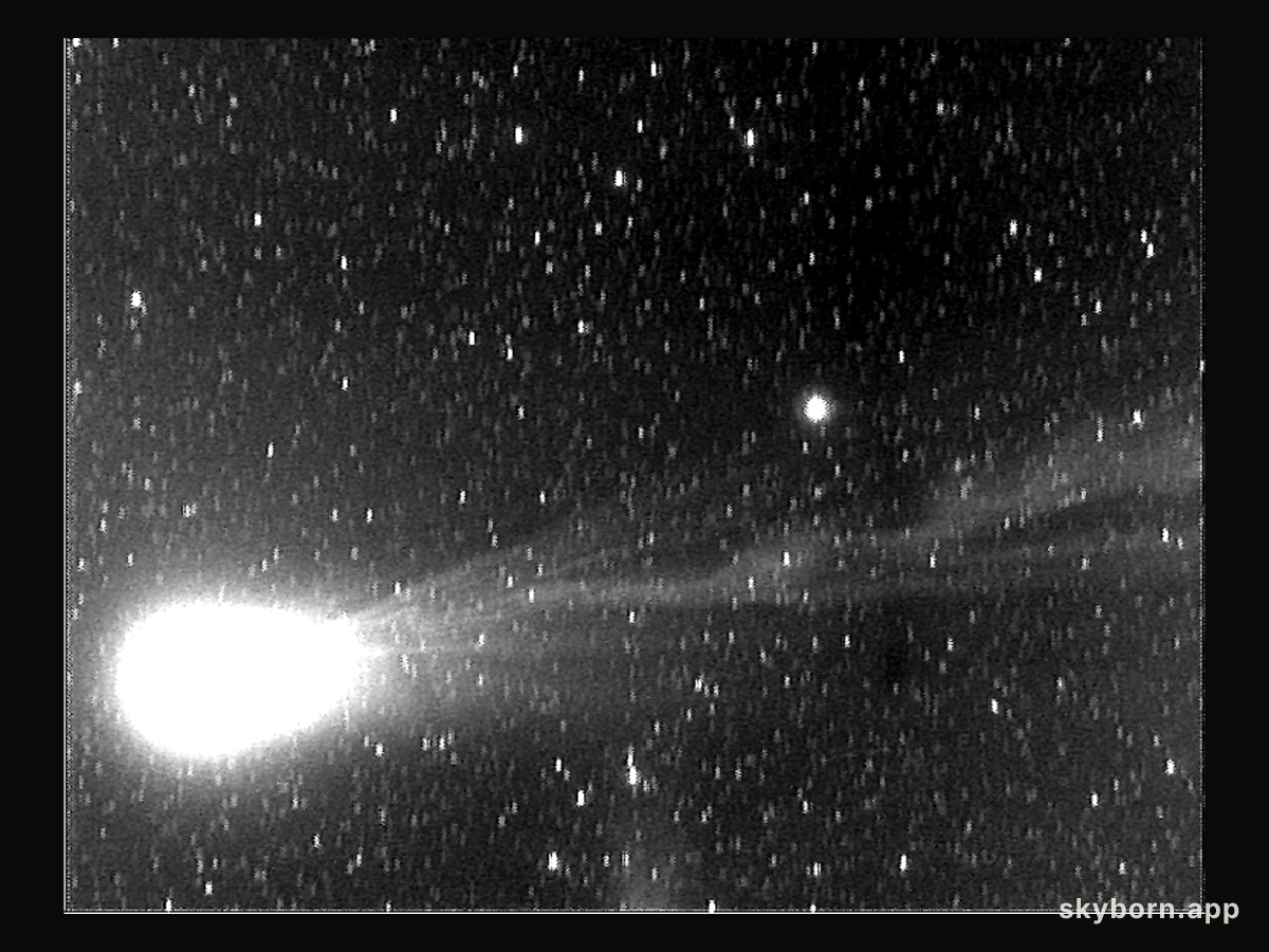 The Ion Tail of Comet Hyakutake