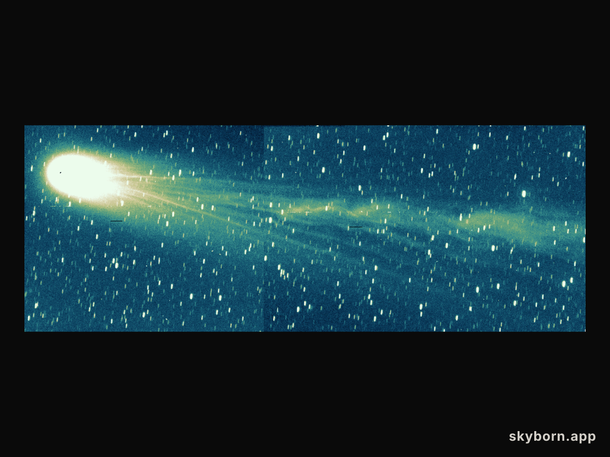 Comet Hyakutake's Past and Future