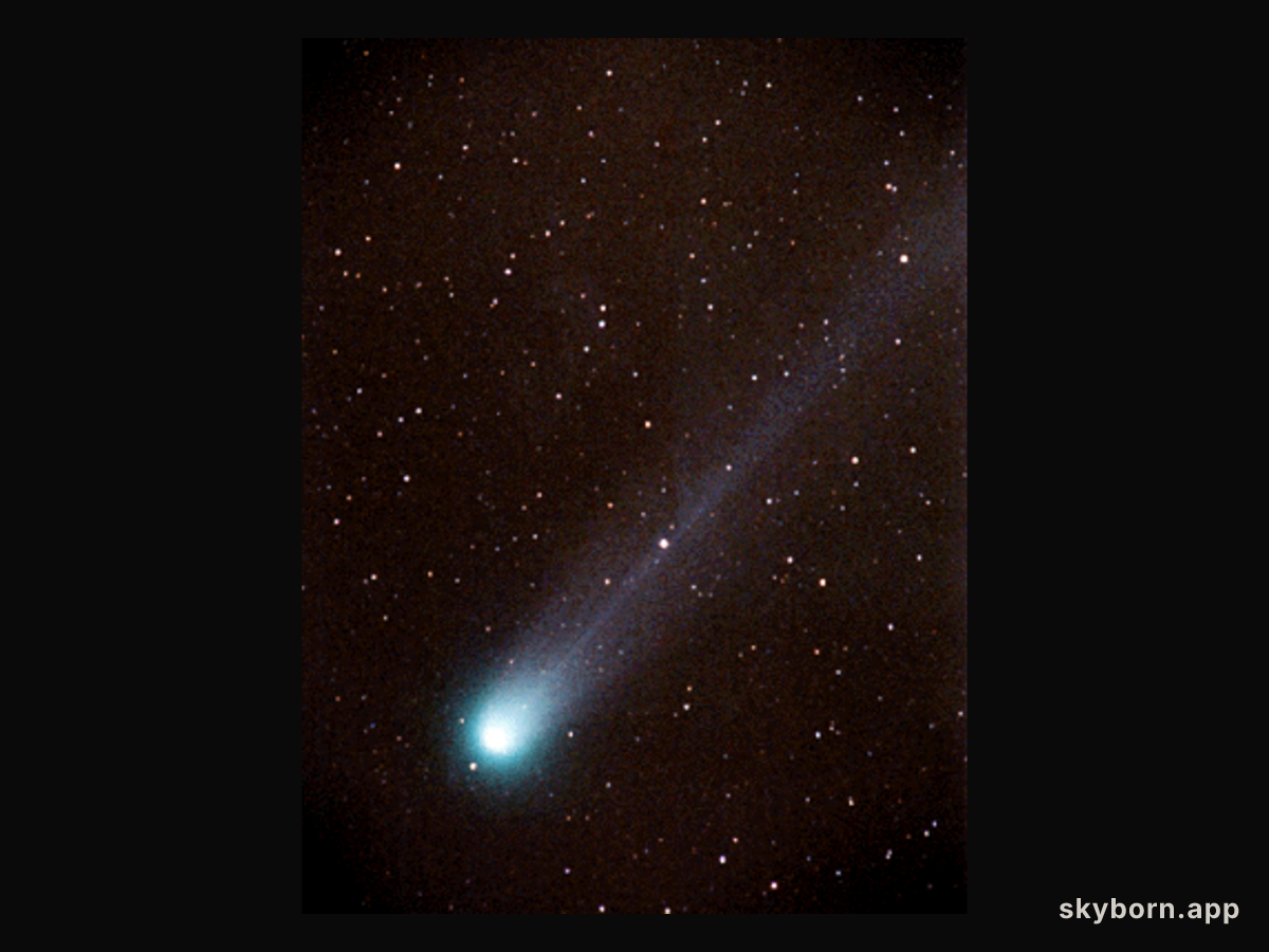 What are Comet Tails Made Of?