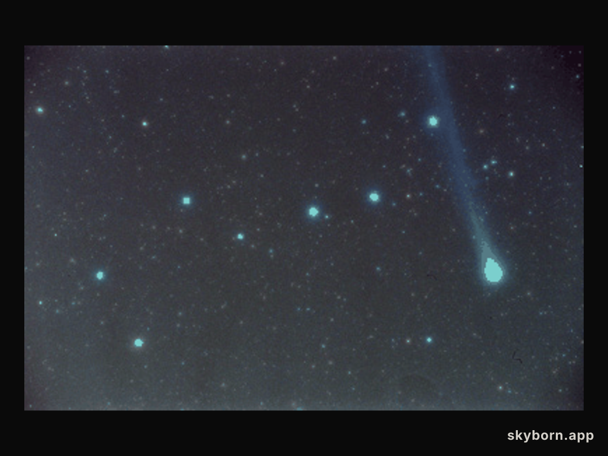 How Much is That Comet in the Window?