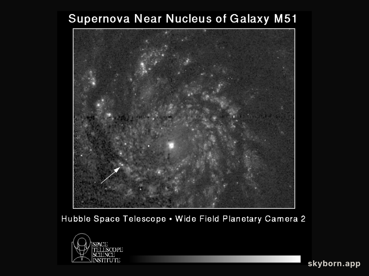 A Supernova in the Whirlpool