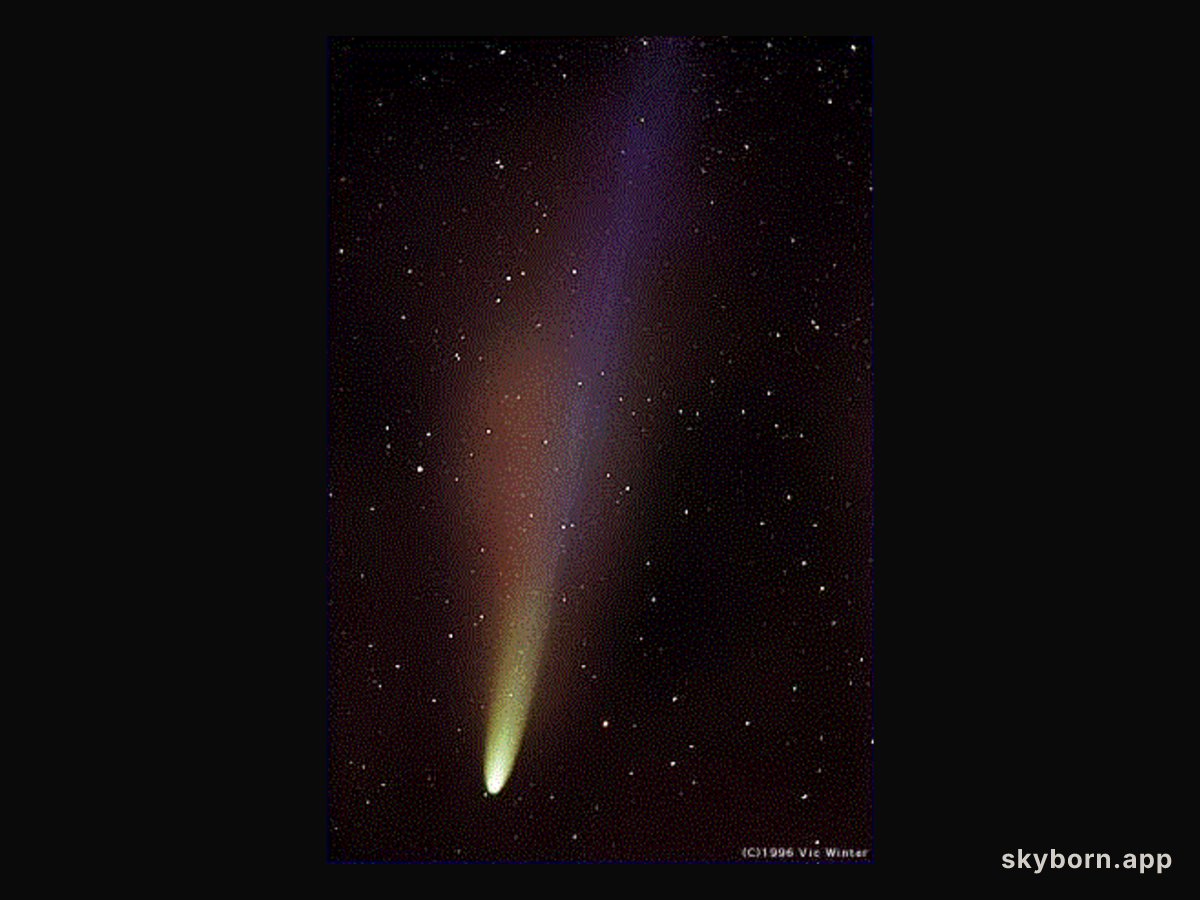 The Tails of Comet Hyakutake