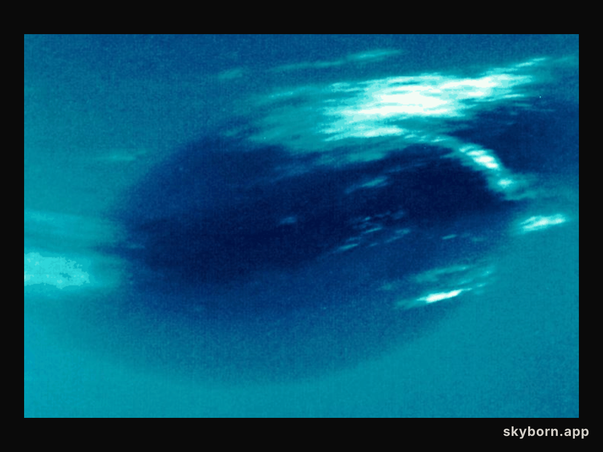 Neptune's Great Dark Spot: Gone But Not Forgotten