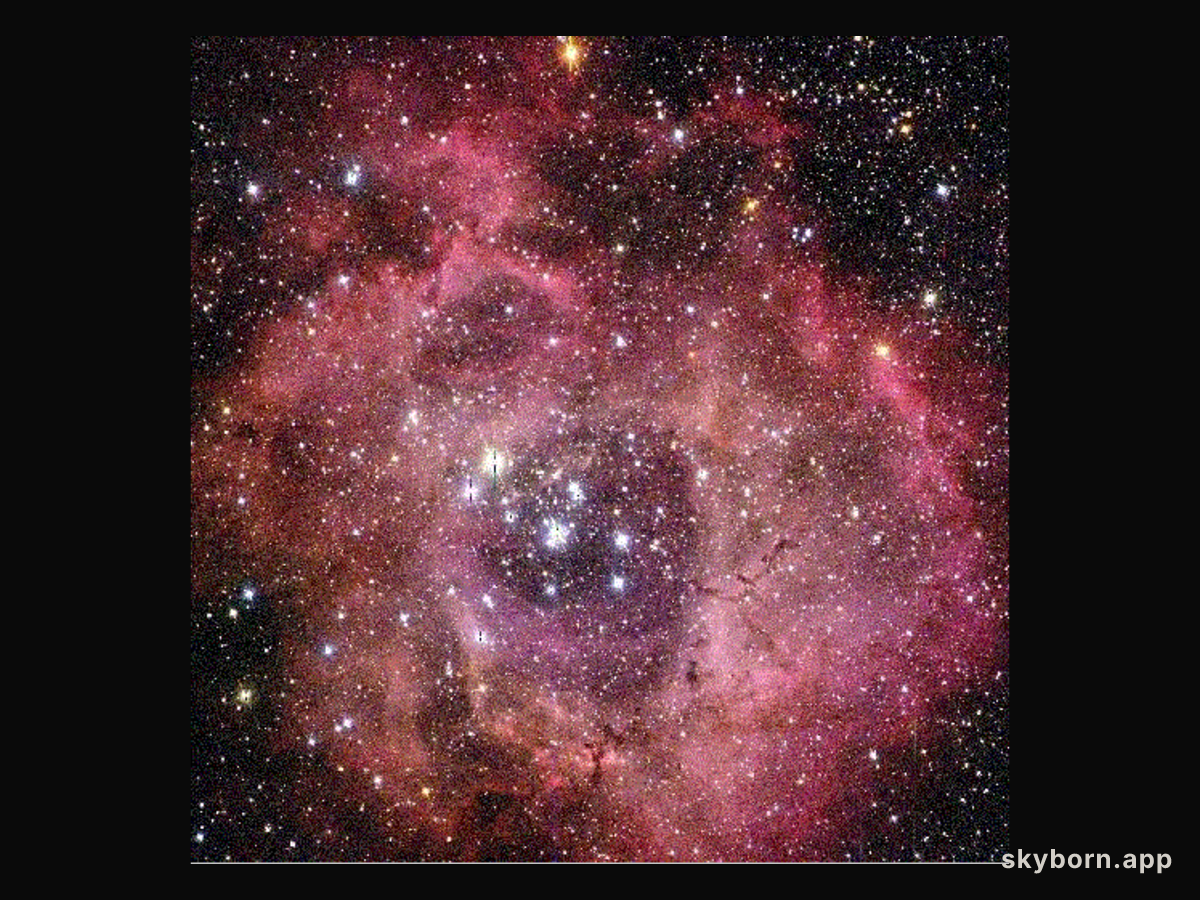 Star Cluster in the Rosette Nebula