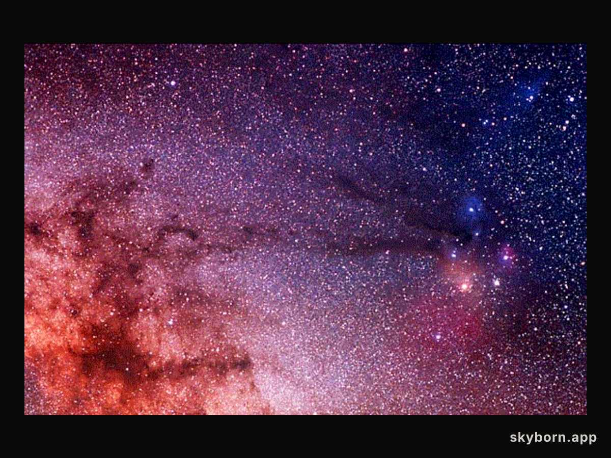 The Pipe Dark Nebula