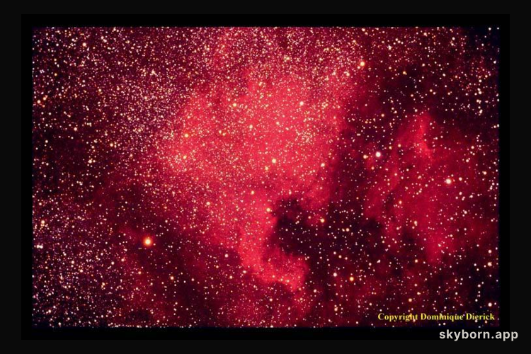 The North America Nebula