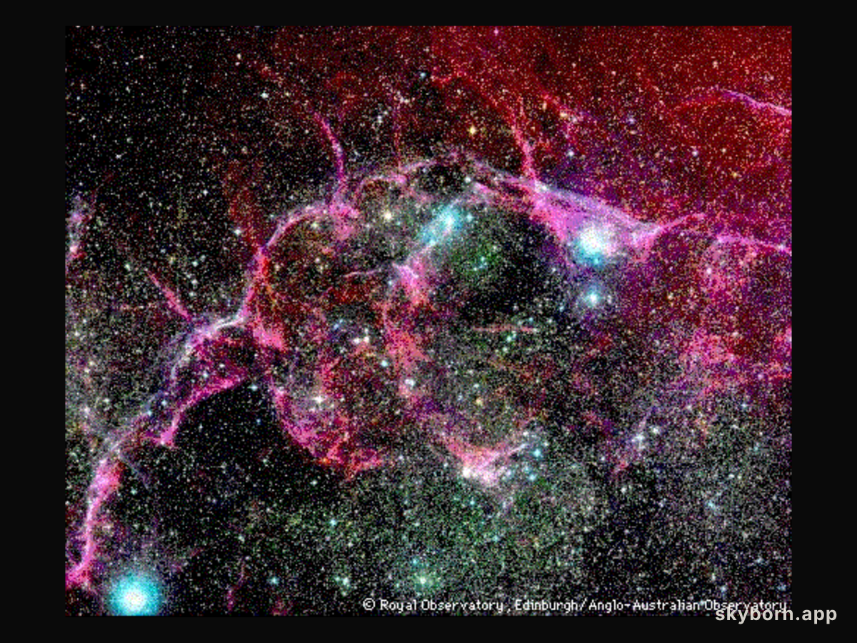 Vela Supernova Remnant in Optical
