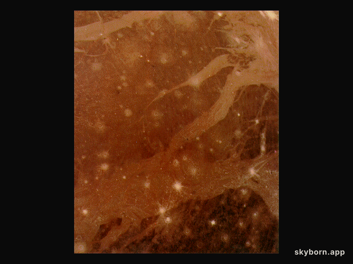 Voyager's Preview of Galileo at Ganymede