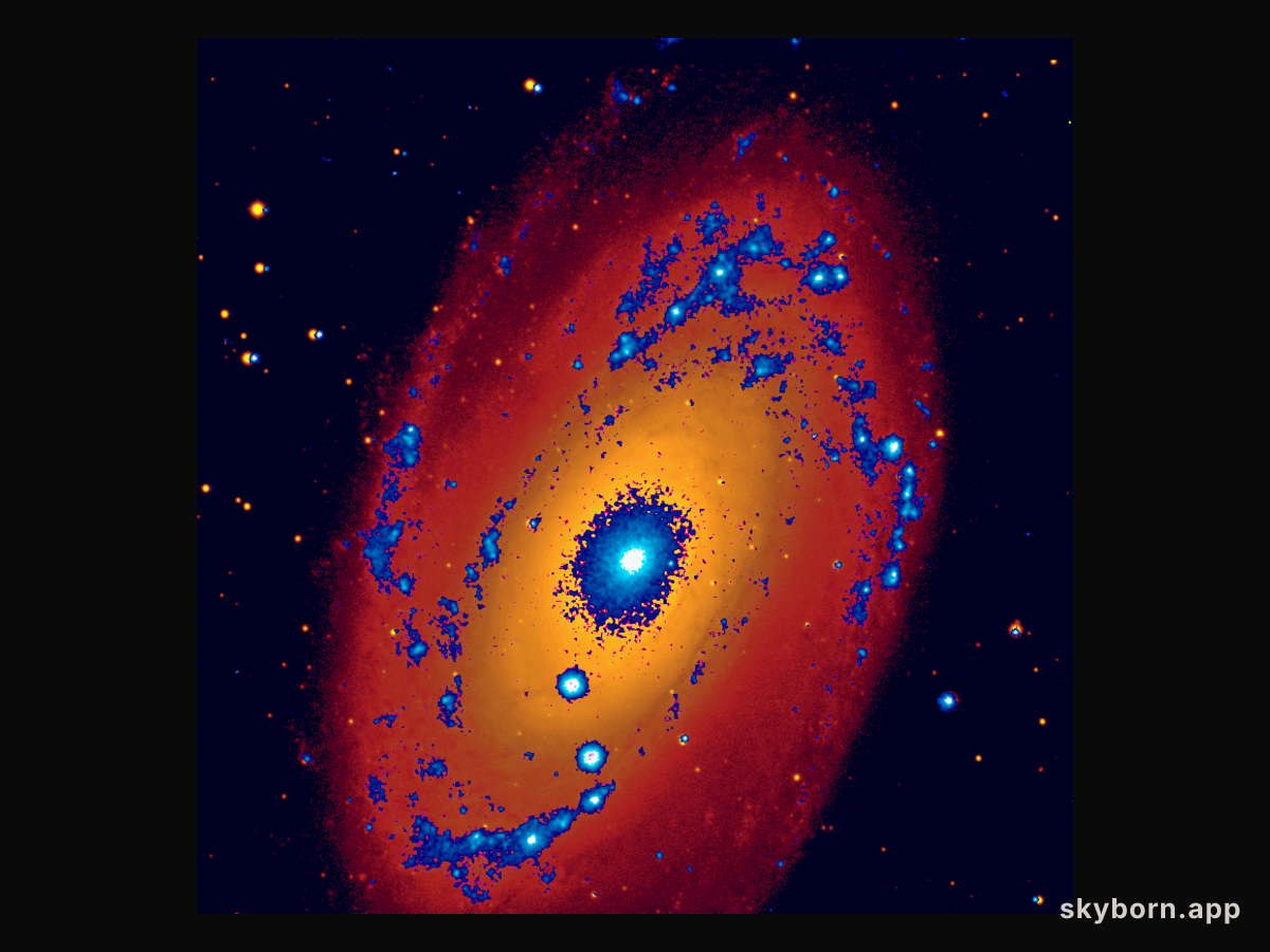 M81: A Bulging Spiral Galaxy