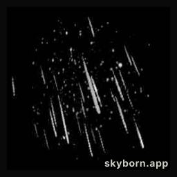 The Perseid Meteor Shower