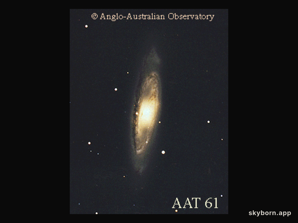 Leo Triplet Spiral Galaxy M65