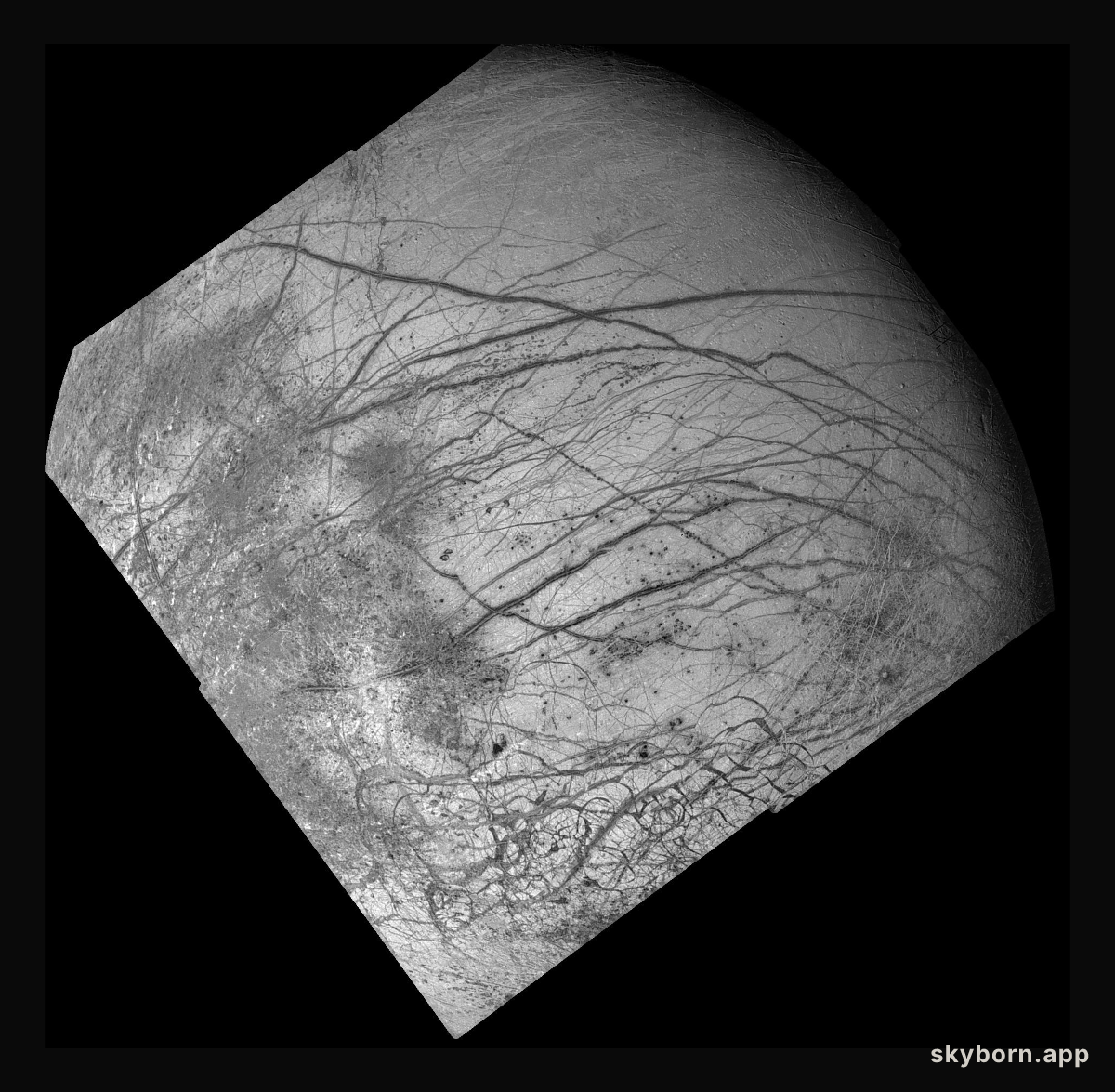 Galileo Explores Europa
