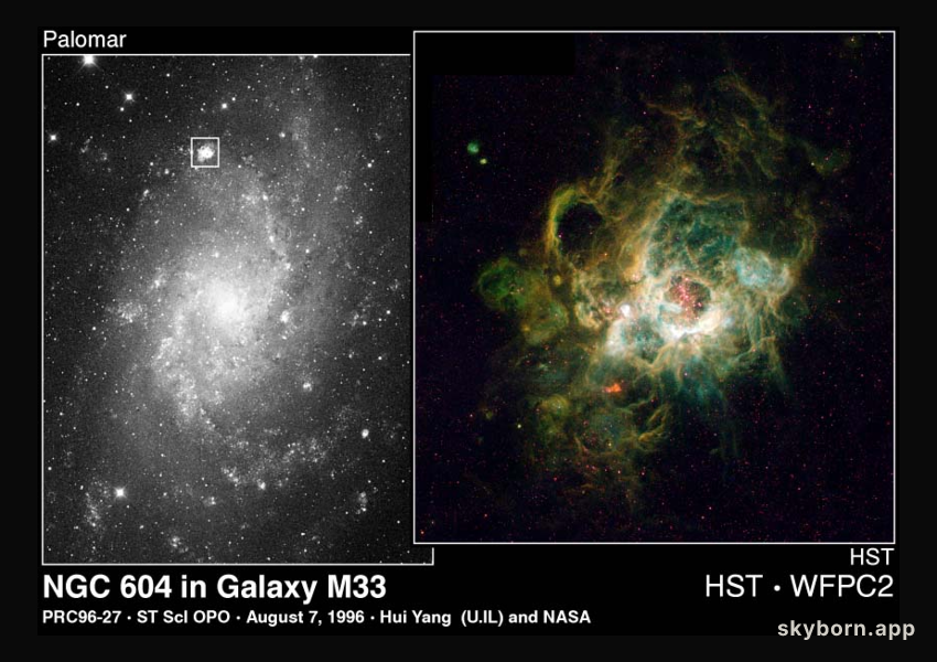 NGC 604: Giant Stellar Nursery in M33