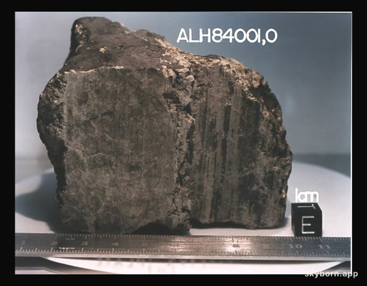 A Meteorite From Mars