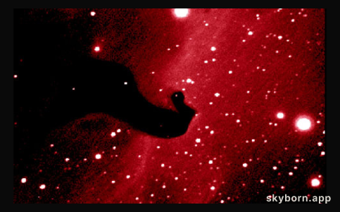 A Close-Up of the Horsehead Nebula 
Credit and Copyright: