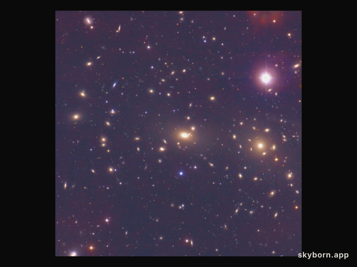 The Coma Cluster of Galaxies
Credit: