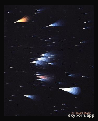 Orion's Star Colors

Credit and Copyright: