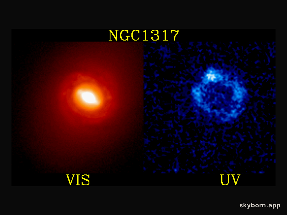 Starburst Ring in Galaxy NGC 1317
Credit: