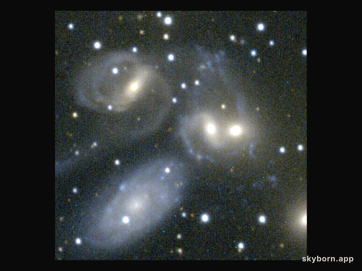 Disorder in Stephan's Quintet