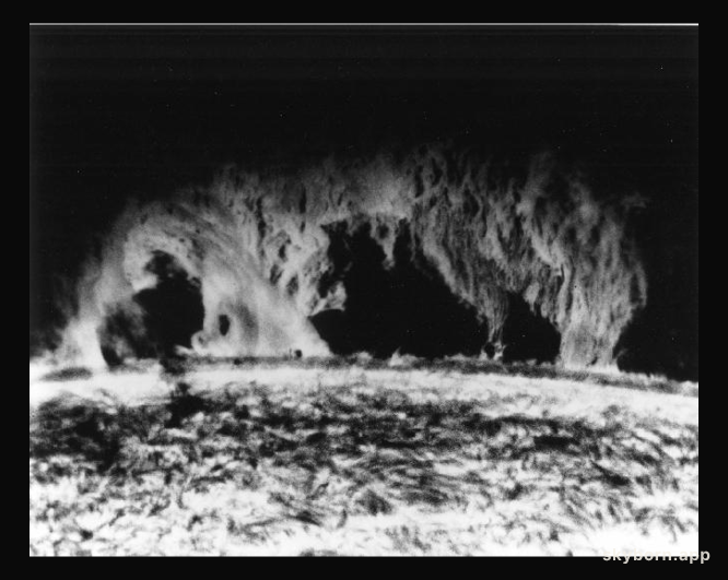 A Prominent Solar Prominence